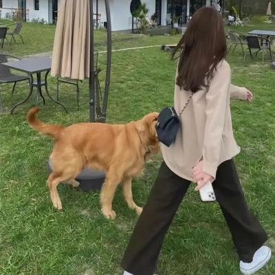 兄弟没狗不应该