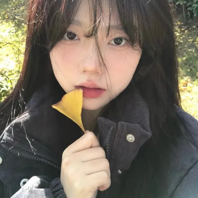 北极征熊记